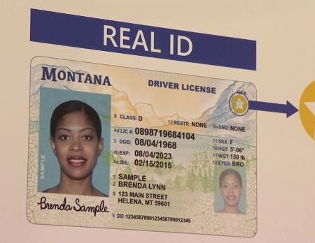 Buy Montana Driver's License and ID Card