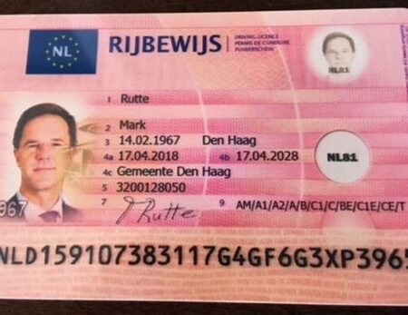 Buy Netherlands driving licence