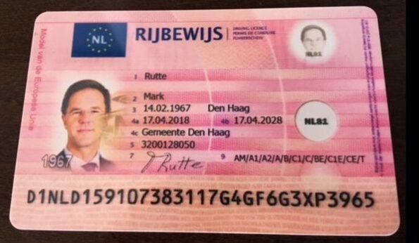 Buy Netherlands driving licence