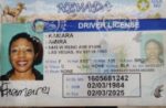 Nevada Driver’s License and ID Card