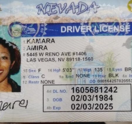 Nevada Driver's License ID Card