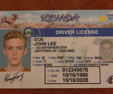 Buy Nevada Driver's License and ID Card