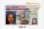 New Jersey Driver’s License and ID Card 002
