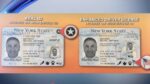 New York Driver’s License and ID Card