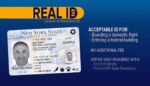 Buy New York Driver's License and ID Card