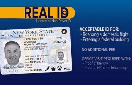 Buy New York Driver's License and ID Card