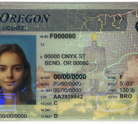 Buy Oregon Driver License and ID Card