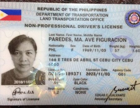 Buy Philippines Driving Licence