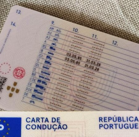 Buy Portugal Driving Licence