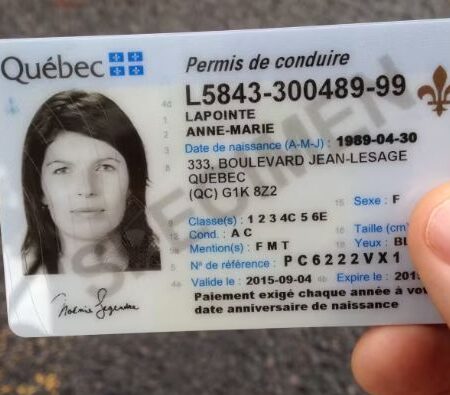 Buy Quebec Driver's Licence and id card