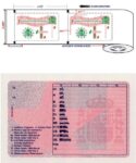 Spain Driving Licence