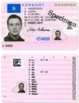 Sweden Driving Licence