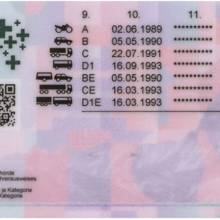 Swiss Driver's License