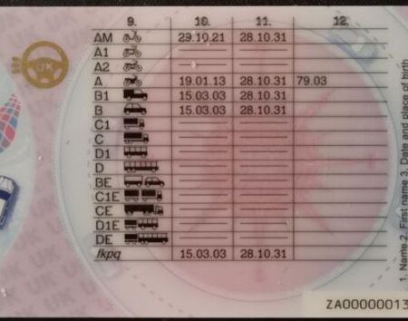 UK Driving Licence back