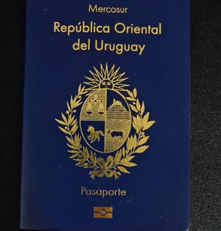 Fake Uruguayan passport