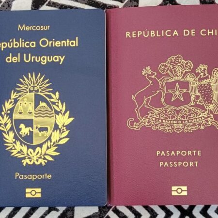 Buy Fake Uruguay Passport Online