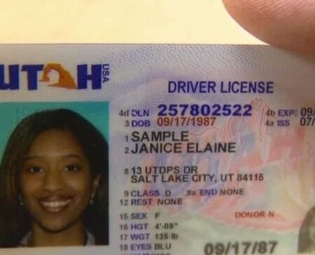 Buy Utah Driver's License and ID Card