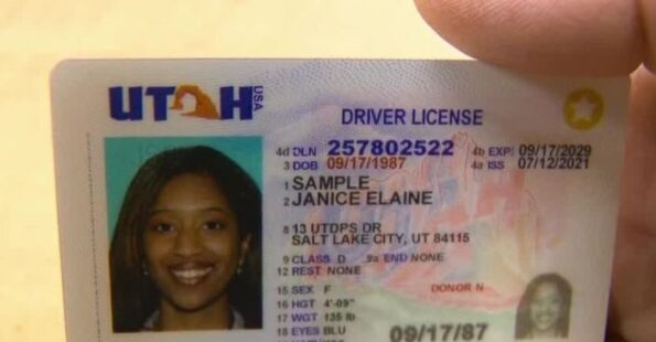 Buy Utah Driver's License and ID Card
