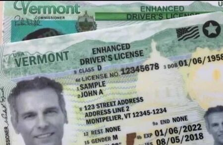 Buy Vermont Driver's License and ID Card