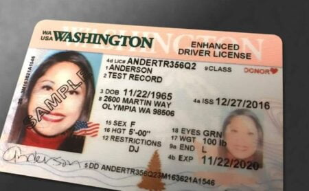 Buy Washington Driver's License and ID Card