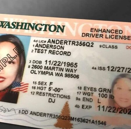 Buy Washington Driver's License and ID Card