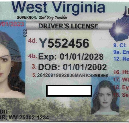 Buy West Virginia Driver's License and ID Card