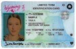 Buy Wyoming Driver’s License and ID Card